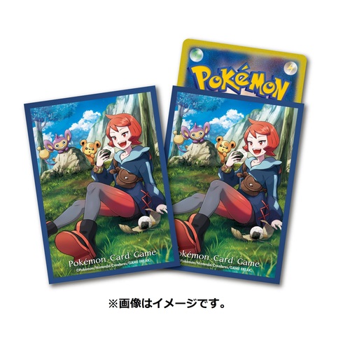 [9316000] Pokemon Card Game Deck Shield - Hinatsu