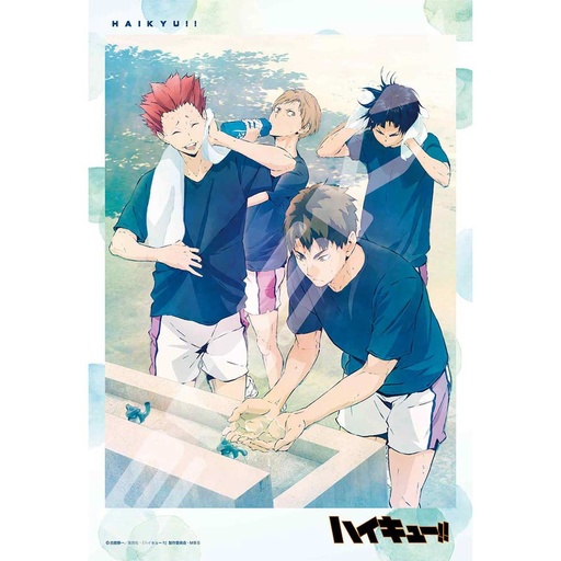 [1518707] (PO) Haikyu! 300 pcs Jigsaw Puzzle 300-3052 Shiryoku no Naka de