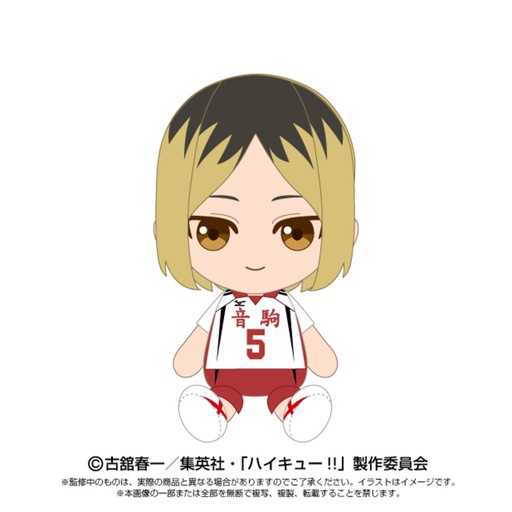 [8667957] (PO) Haikyu!! Chibi Plush Kozume Kenma