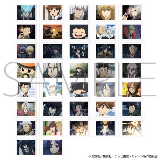 [1058073] (PO) Reborn! PashaColle Vol. 4 [BOX]