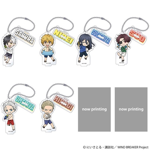 [1088308] (PO) Wind Breaker Acrylic Key Chain with Stand Collection [BOX]