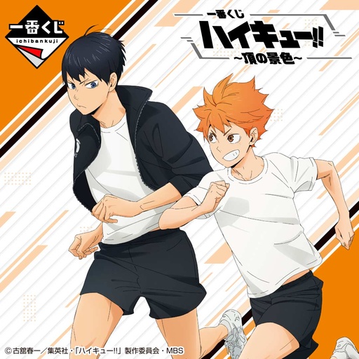 [2626637] Ichiban Kuji - Haikyu!! - A View of the Top