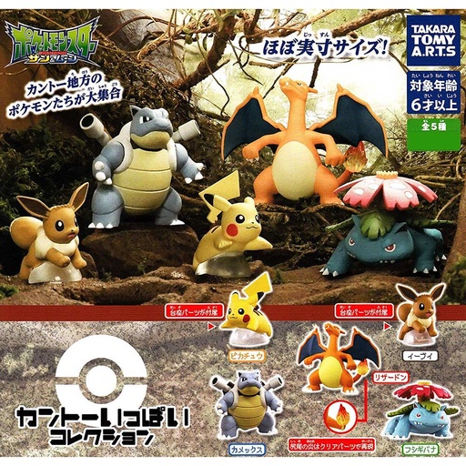 [0066528] Pokemon Kanto Collection