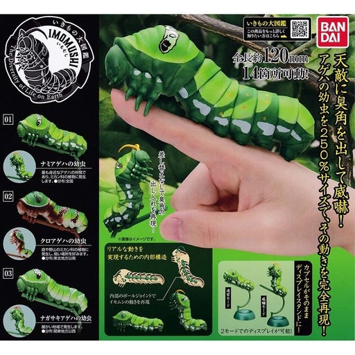 [0473596] The Diversity of Life on Earth - Swallowtail Caterpillar