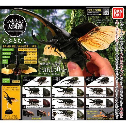 [0589273] The Diversity of Life on Earth - Stag Beetle