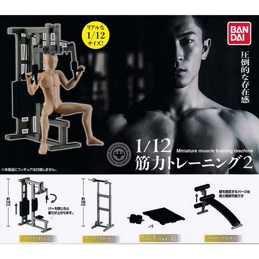 [0623199] (PO) Gashapon! 1/12 Collection Training Vol. 2