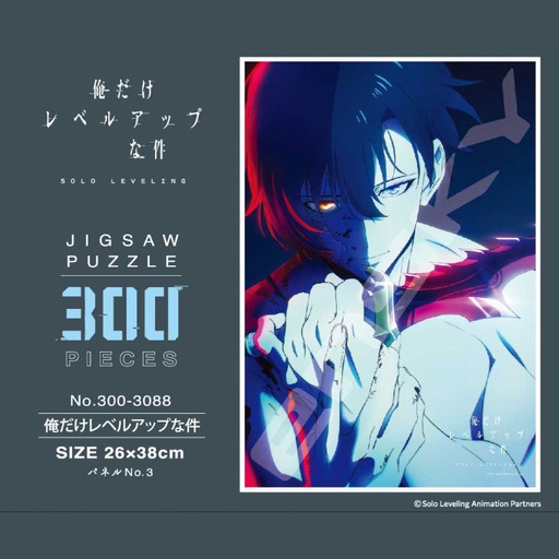 [1520892] (PO) Solo Leveling Jigsaw Puzzle 300 Piece 300-3088 Solo Leveling