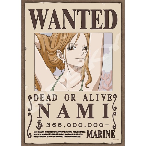 [1521783] (PO) One Piece Jigsaw Puzzle 208 Piece 208-136 Navigator Cat Burglar Nami