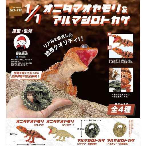 [1783748] (PO) 1/1 Scale Centralian Rough Knob-Tailed Gecko & Armadillo Girdled Lizard