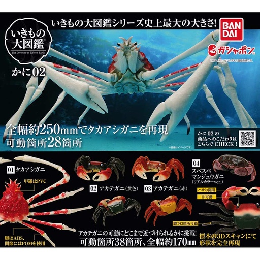 [0716617] The Diversity of Life on Earth - Crab 2