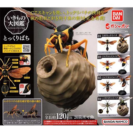 [0726890] (PO) The Diversity of Life on Earth - Potter Wasp