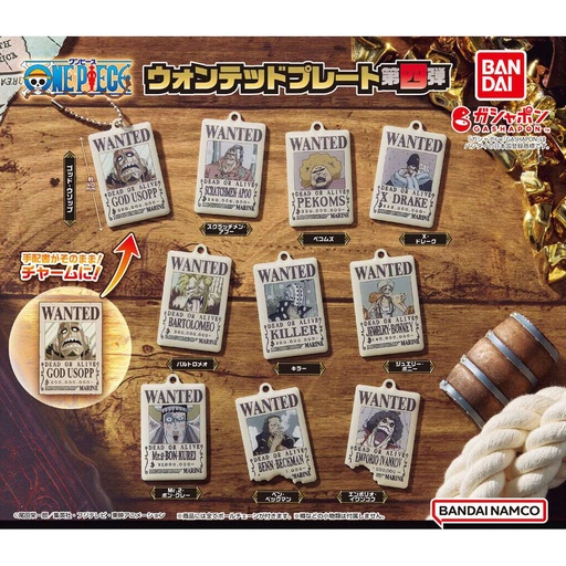 [0953951] One Piece Wanted Plate Vol4