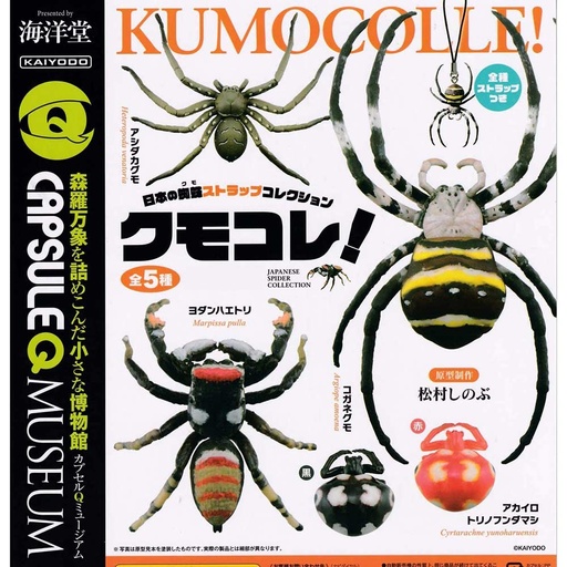 [7083050] (PO) CapsuleQ Museum - Spider Collection